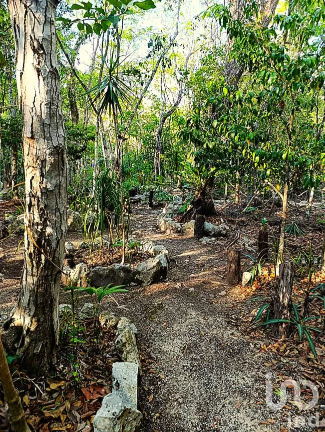 Terreno en Venta en La Guadalupana, Solidaridad, Quintana Roo | NEX-251434 | iad México | Foto 14 de 17