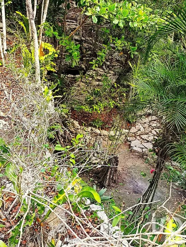 Terreno en Venta en La Guadalupana, Solidaridad, Quintana Roo | NEX-251434 | iad México | Foto 15 de 17