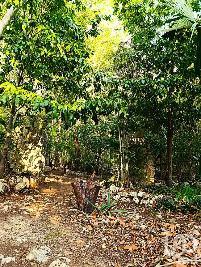 Terreno en Venta en La Guadalupana, Solidaridad, Quintana Roo | NEX-251434 | iad México | Foto 16 de 17