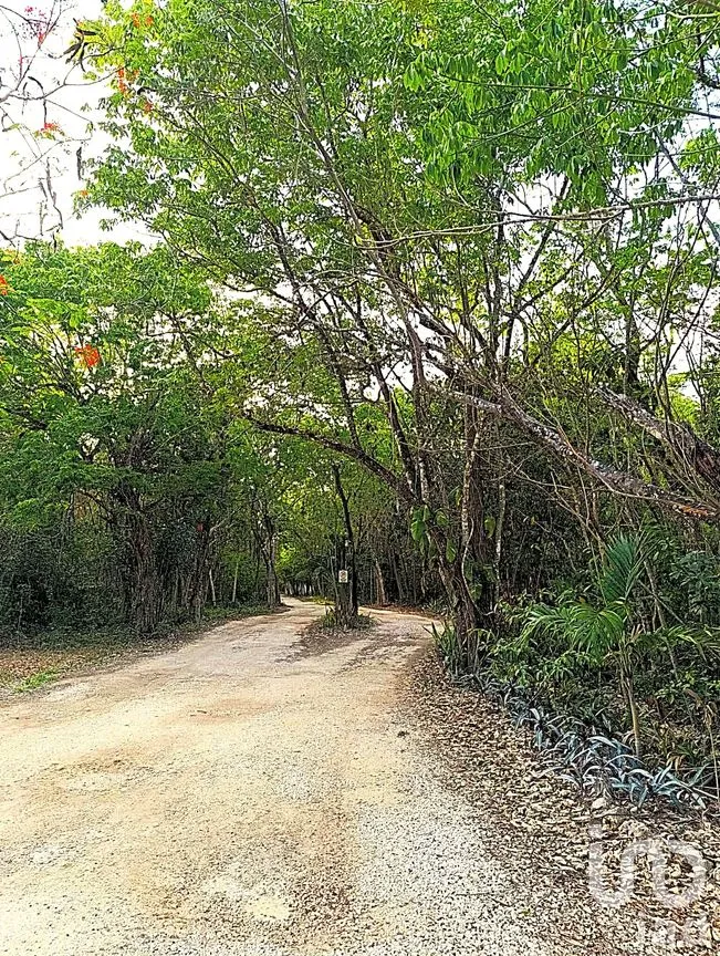 Terreno en Venta en La Guadalupana, Solidaridad, Quintana Roo | NEX-251434 | iad México | Foto 3 de 17