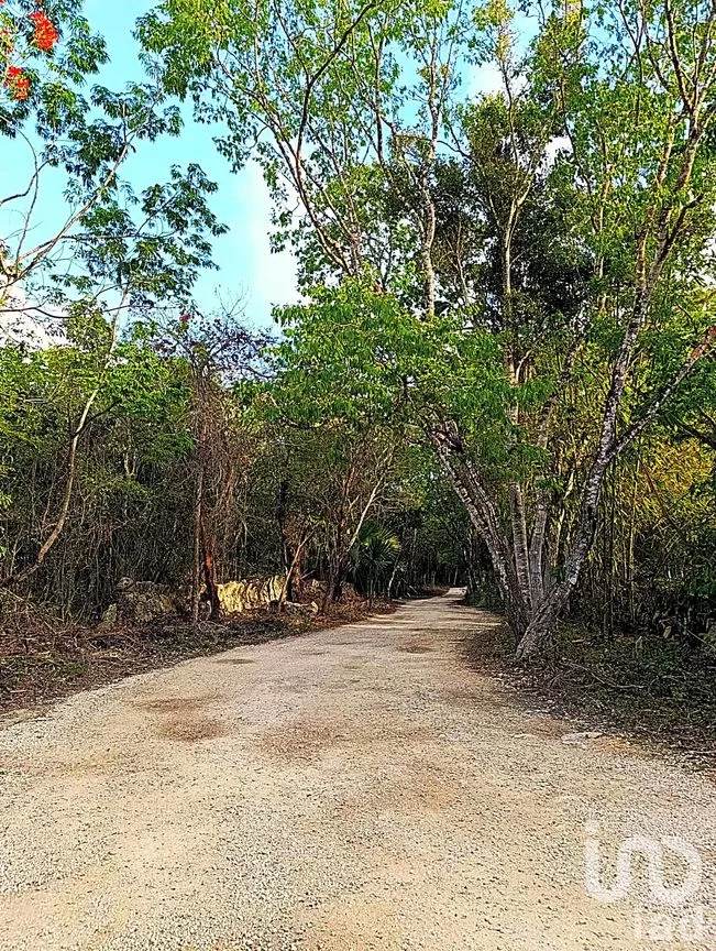 Terreno en Venta en La Guadalupana, Solidaridad, Quintana Roo | NEX-251434 | iad México | Foto 4 de 17