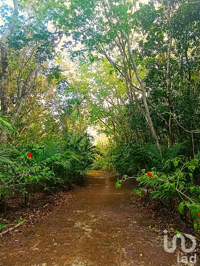 Terreno en Venta en La Guadalupana, Solidaridad, Quintana Roo | NEX-251434 | iad México | Foto 5 de 17