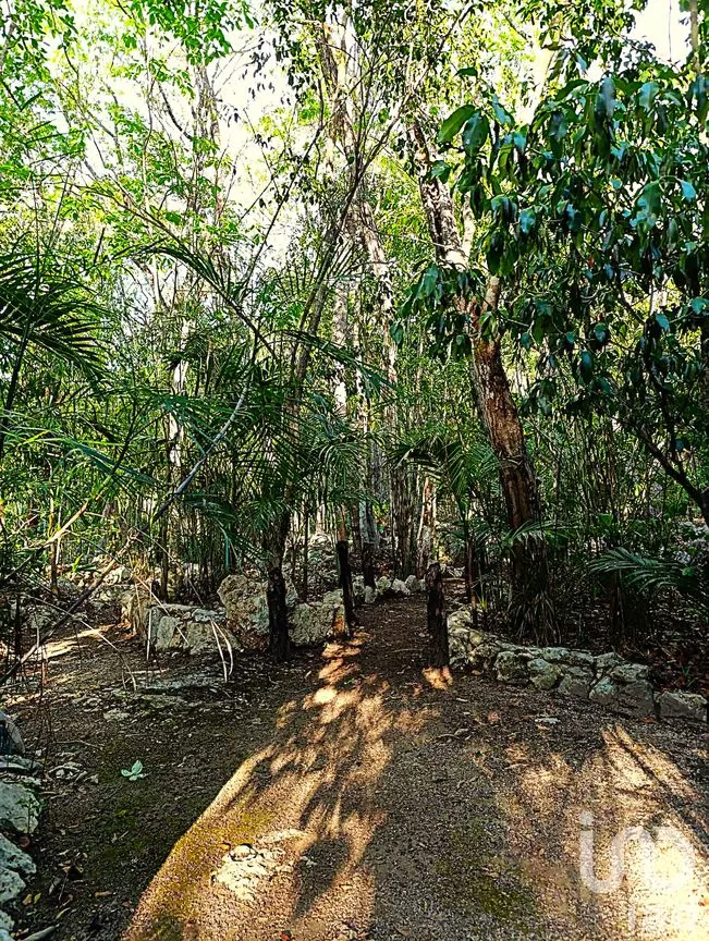 Terreno en Venta en La Guadalupana, Solidaridad, Quintana Roo | NEX-251434 | iad México | Foto 6 de 17