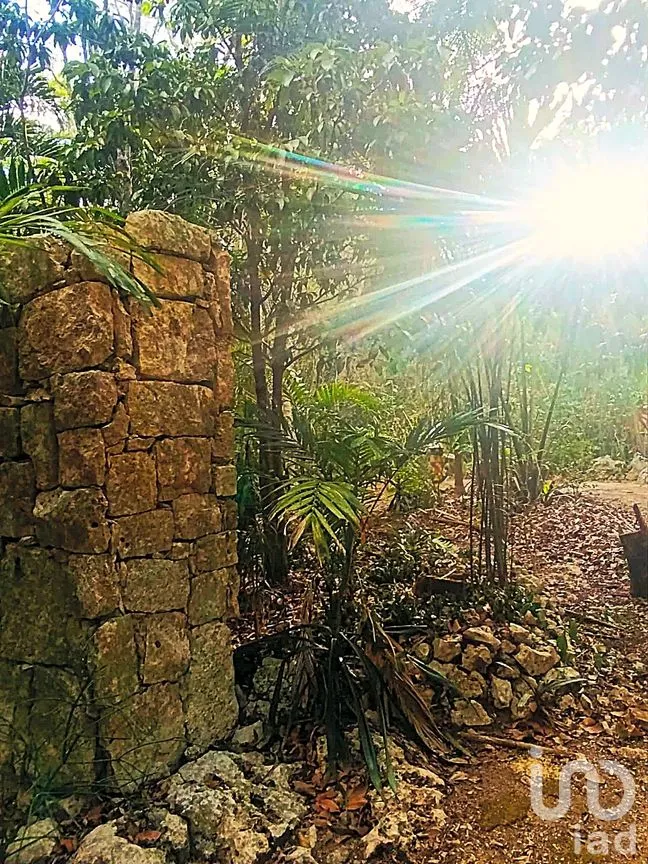 Terreno en Venta en La Guadalupana, Solidaridad, Quintana Roo | NEX-251434 | iad México | Foto 8 de 17
