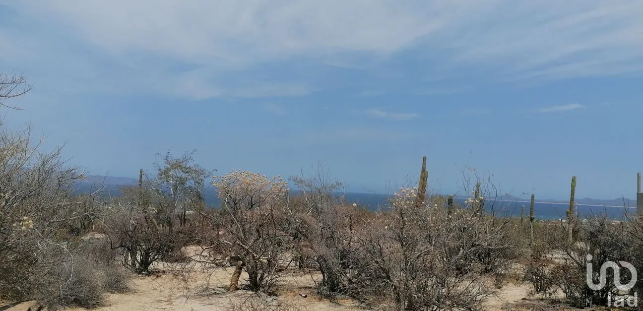 Terreno en Venta en El Sargento, La Paz, Baja California Sur | NEX-178133 | iad México | Foto 8 de 13