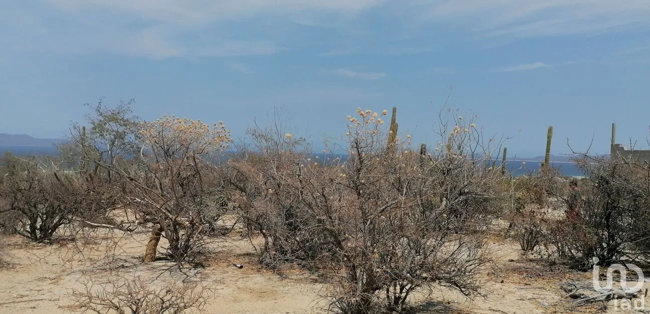 Terreno en Venta en El Sargento, La Paz, Baja California Sur | NEX-178133 | iad México | Foto 11 de 13