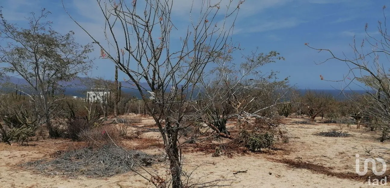 Terreno en Venta en El Sargento, La Paz, Baja California Sur | NEX-178133 | iad México | Foto 3 de 13