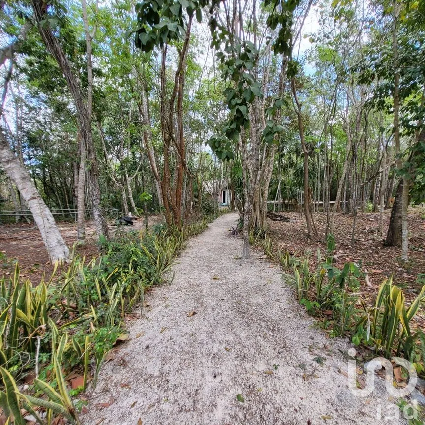 Terreno en Venta en Leona Vicario, Puerto Morelos, Quintana Roo | NEX-189200 | iad México | Foto 2 de 13