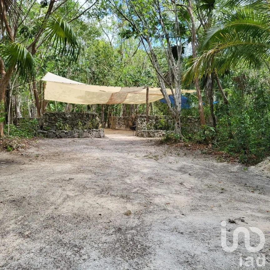Terreno en Venta en Leona Vicario, Puerto Morelos, Quintana Roo | NEX-189200 | iad México | Foto 11 de 13