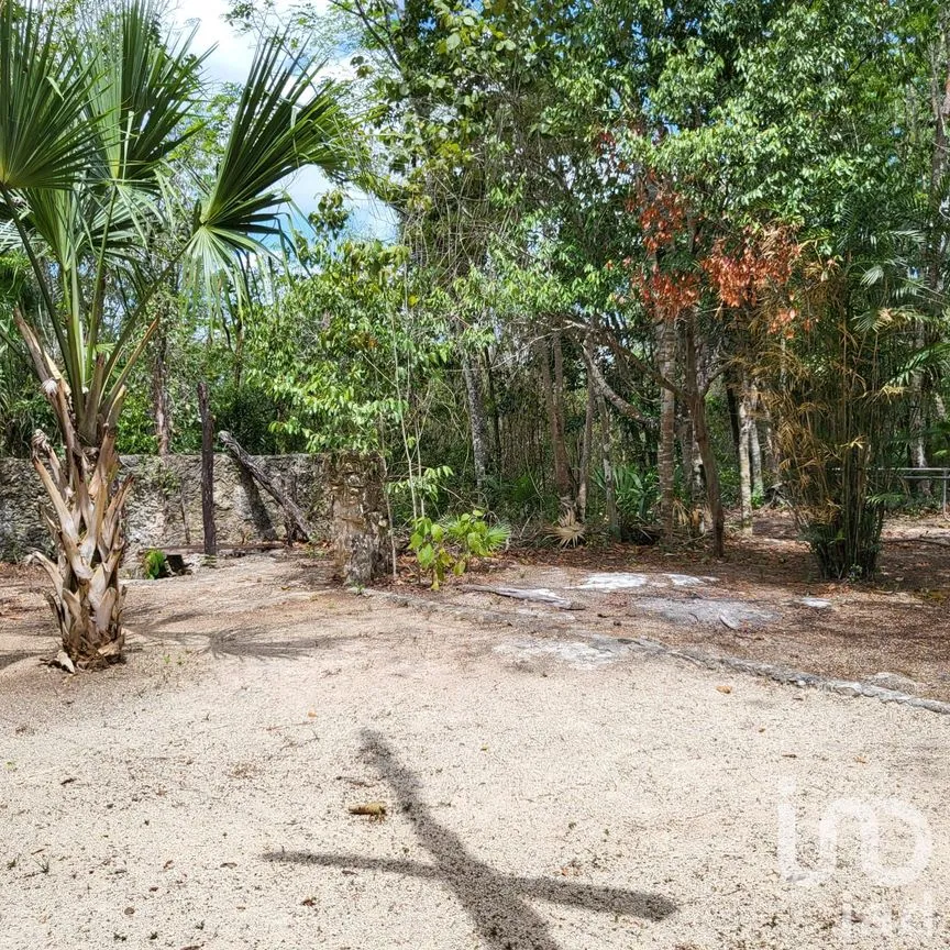 Terreno en Venta en Leona Vicario, Puerto Morelos, Quintana Roo | NEX-189200 | iad México | Foto 3 de 13