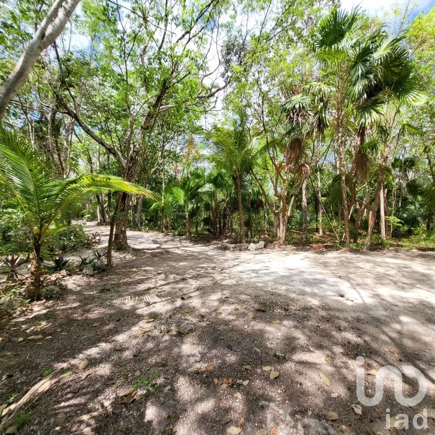 Terreno en Venta en Leona Vicario, Puerto Morelos, Quintana Roo | NEX-189200 | iad México | Foto 4 de 13