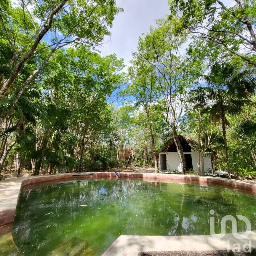 Terreno en Venta en Leona Vicario, Puerto Morelos, Quintana Roo | NEX-189200 | iad México | Foto 8 de 13