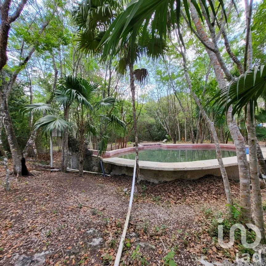 Terreno en Venta en Leona Vicario, Puerto Morelos, Quintana Roo | NEX-189200 | iad México | Foto 9 de 13