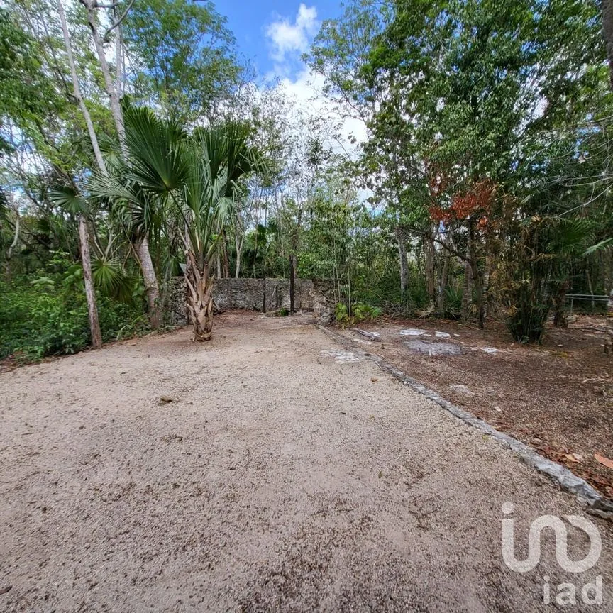 Terreno en Venta en Leona Vicario, Puerto Morelos, Quintana Roo | NEX-189200 | iad México | Foto 1 de 13