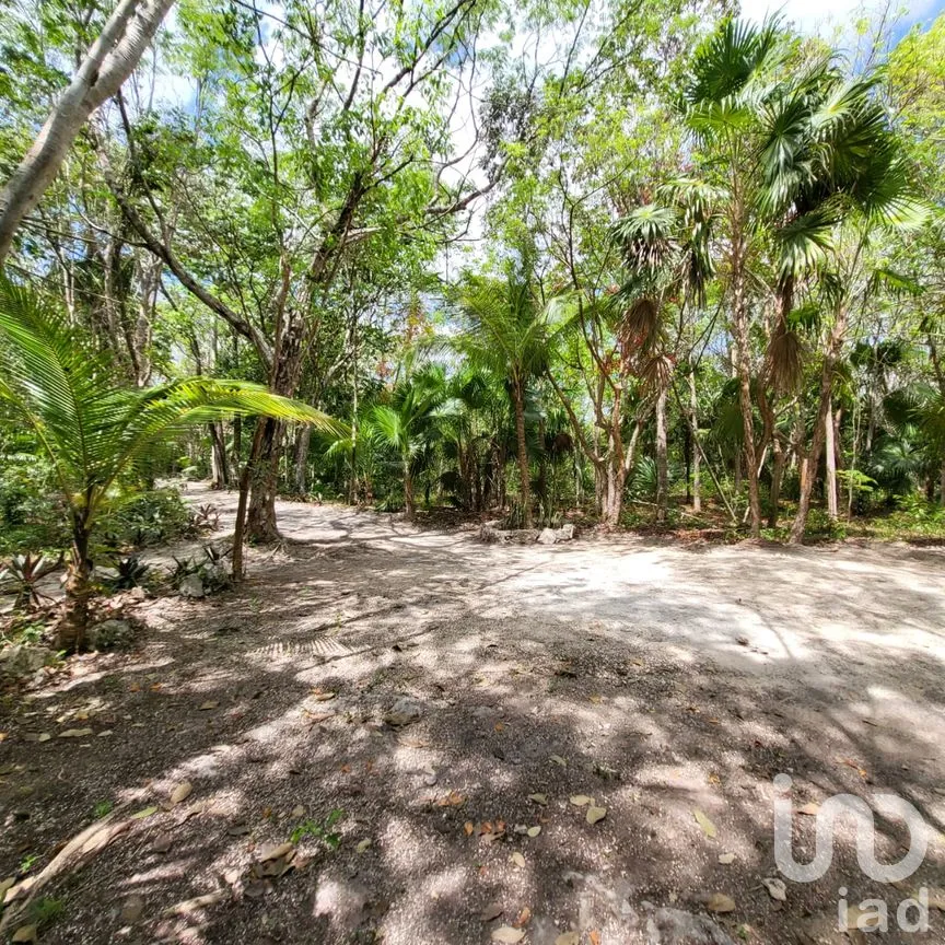 Terreno en Venta en Leona Vicario, Puerto Morelos, Quintana Roo | NEX-189200 | iad México | Foto 4 de 13