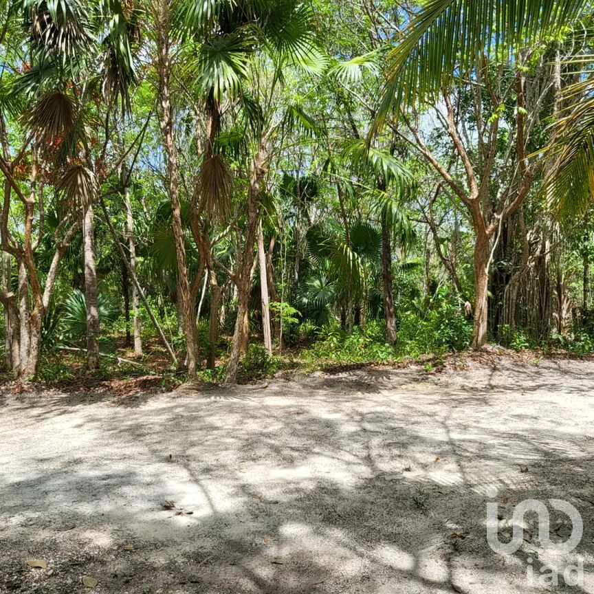 Terreno en Venta en Leona Vicario, Puerto Morelos, Quintana Roo | NEX-189200 | iad México | Foto 5 de 13
