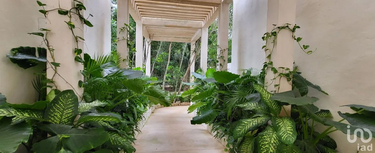 Departamento en Venta en Aqua Residencial, Benito Juárez, Quintana Roo | NEX-237678 | iad México | Foto 15 de 15