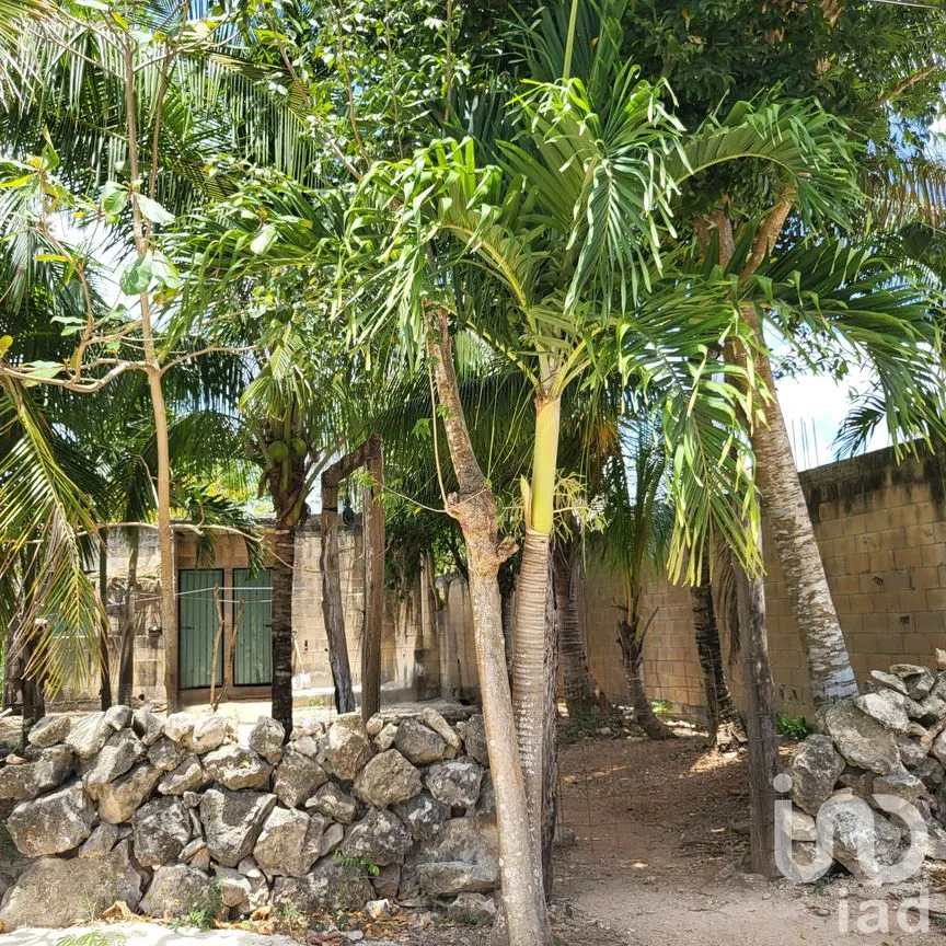 Terreno en Venta en La Libertad, Benito Juárez, Quintana Roo | NEX-248547 | iad México | Foto 3 de 6