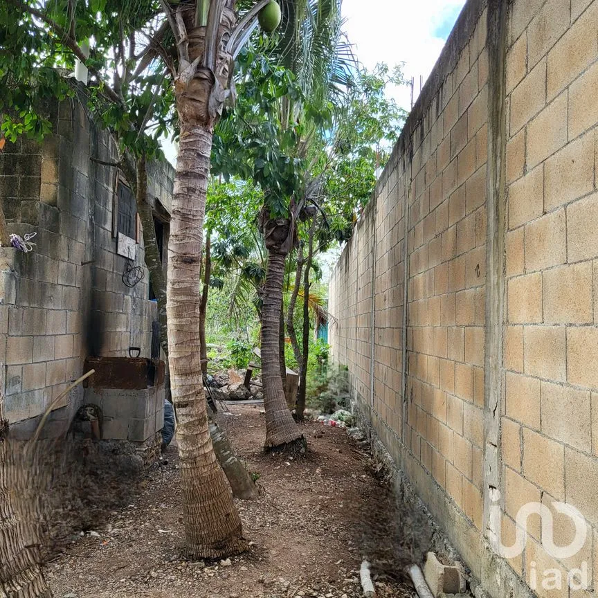 Terreno en Venta en La Libertad, Benito Juárez, Quintana Roo | NEX-248547 | iad México | Foto 4 de 6