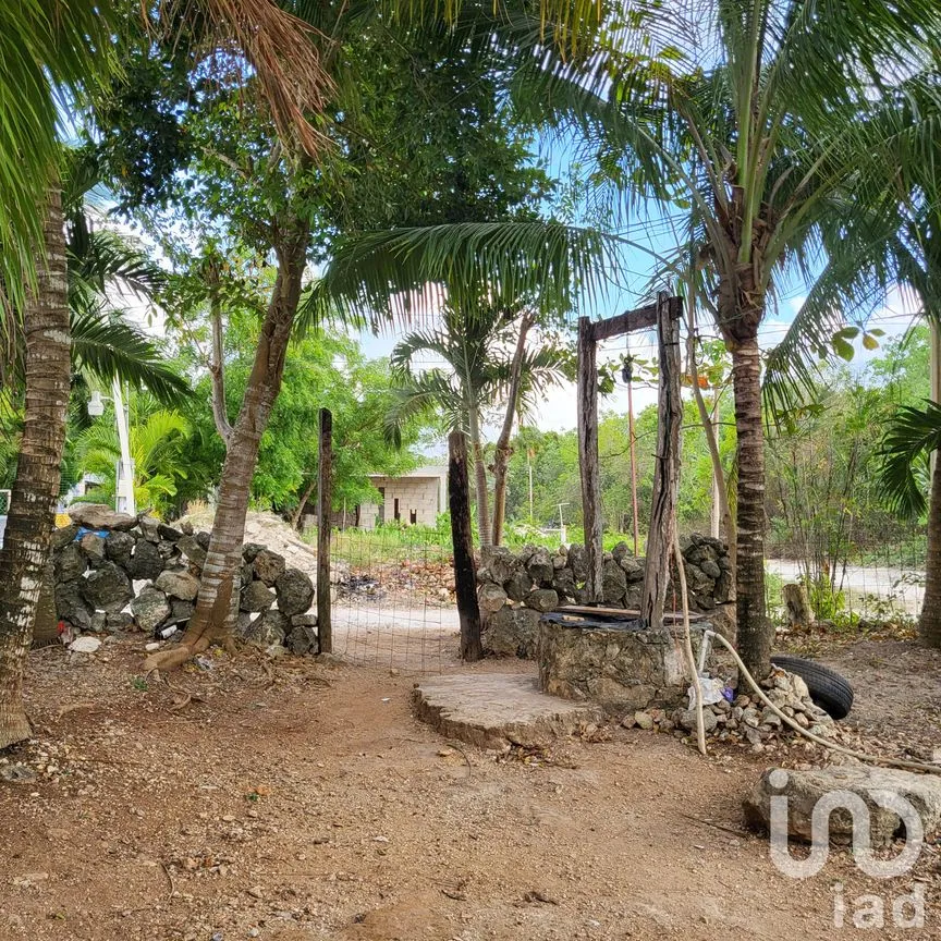 Terreno en Venta en La Libertad, Benito Juárez, Quintana Roo | NEX-248547 | iad México | Foto 5 de 6