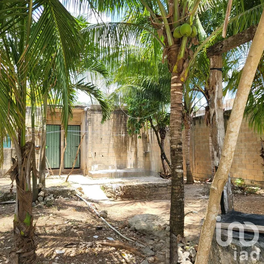 Terreno en Venta en La Libertad, Benito Juárez, Quintana Roo | NEX-248547 | iad México | Foto 1 de 6