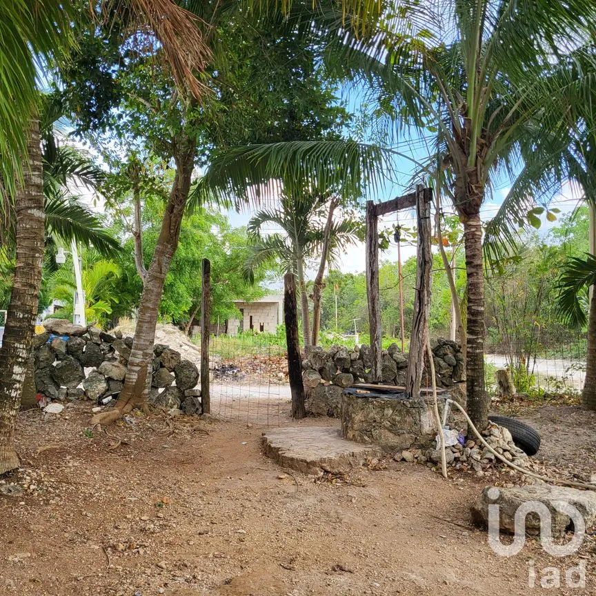 Terreno en Venta en La Libertad, Benito Juárez, Quintana Roo | NEX-248547 | iad México | Foto 5 de 6