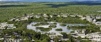 NEX-256659 - Terreno en Venta en Supermanzana 57, CP 77533, Quintana Roo.