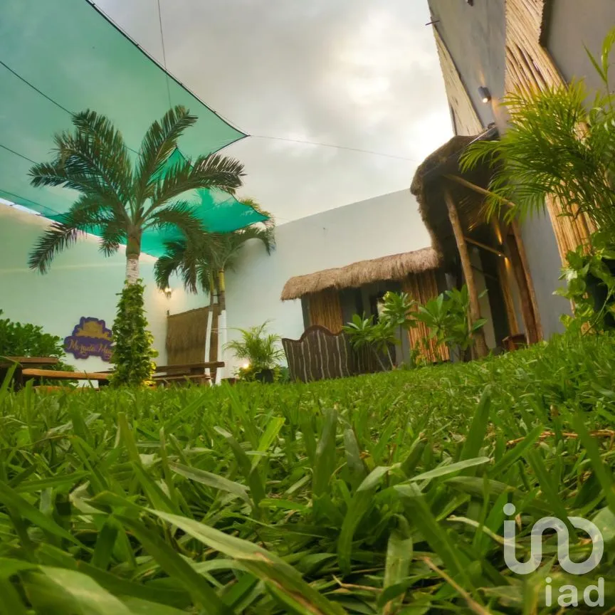 Edificio en Venta en Tulum Centro, Tulum, Quintana Roo | NEX-264223 | iad México | Foto 7 de 19