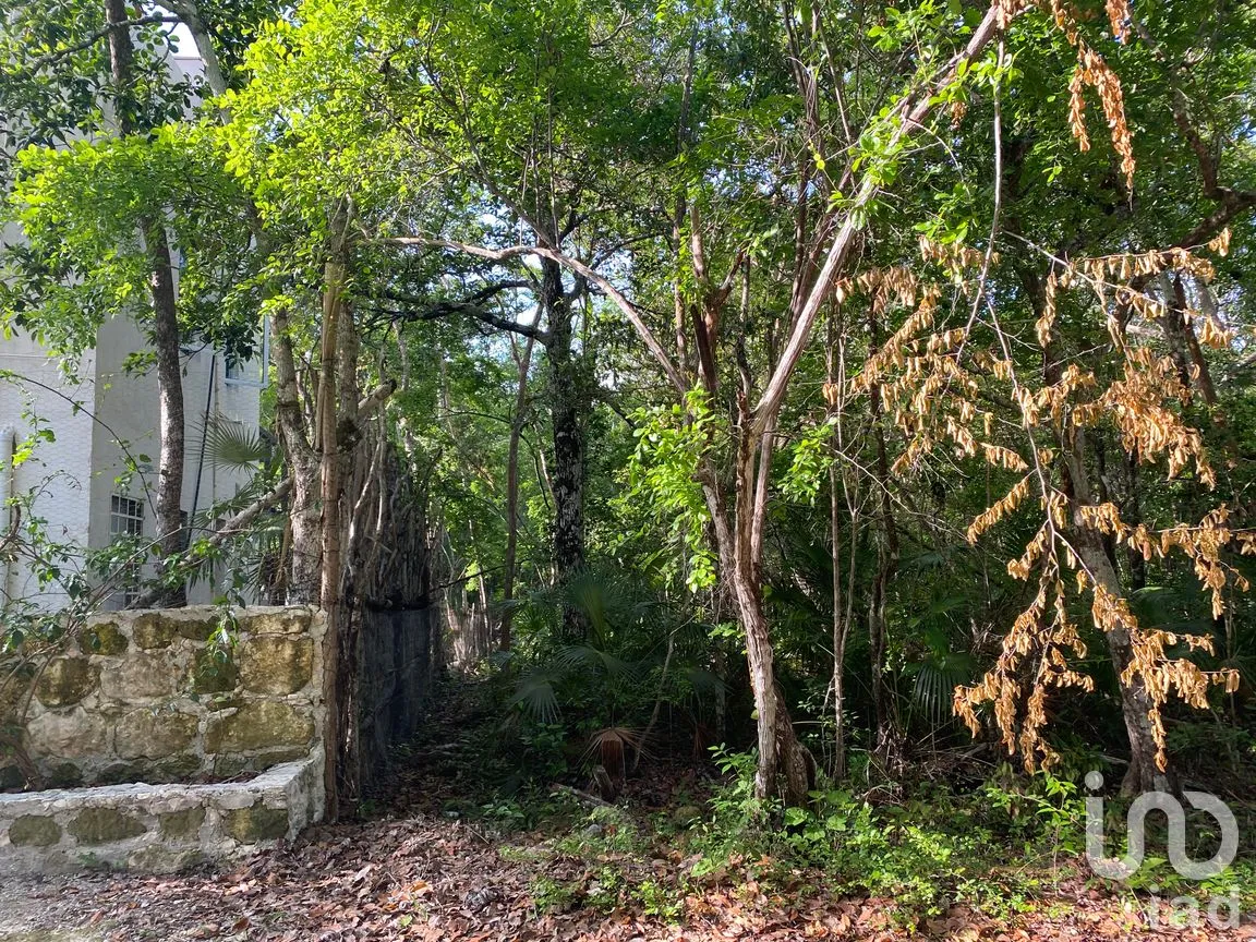 Terreno en Venta en La Veleta, Tulum, Quintana Roo | NEX-285875 | iad México | Foto 14 de 14