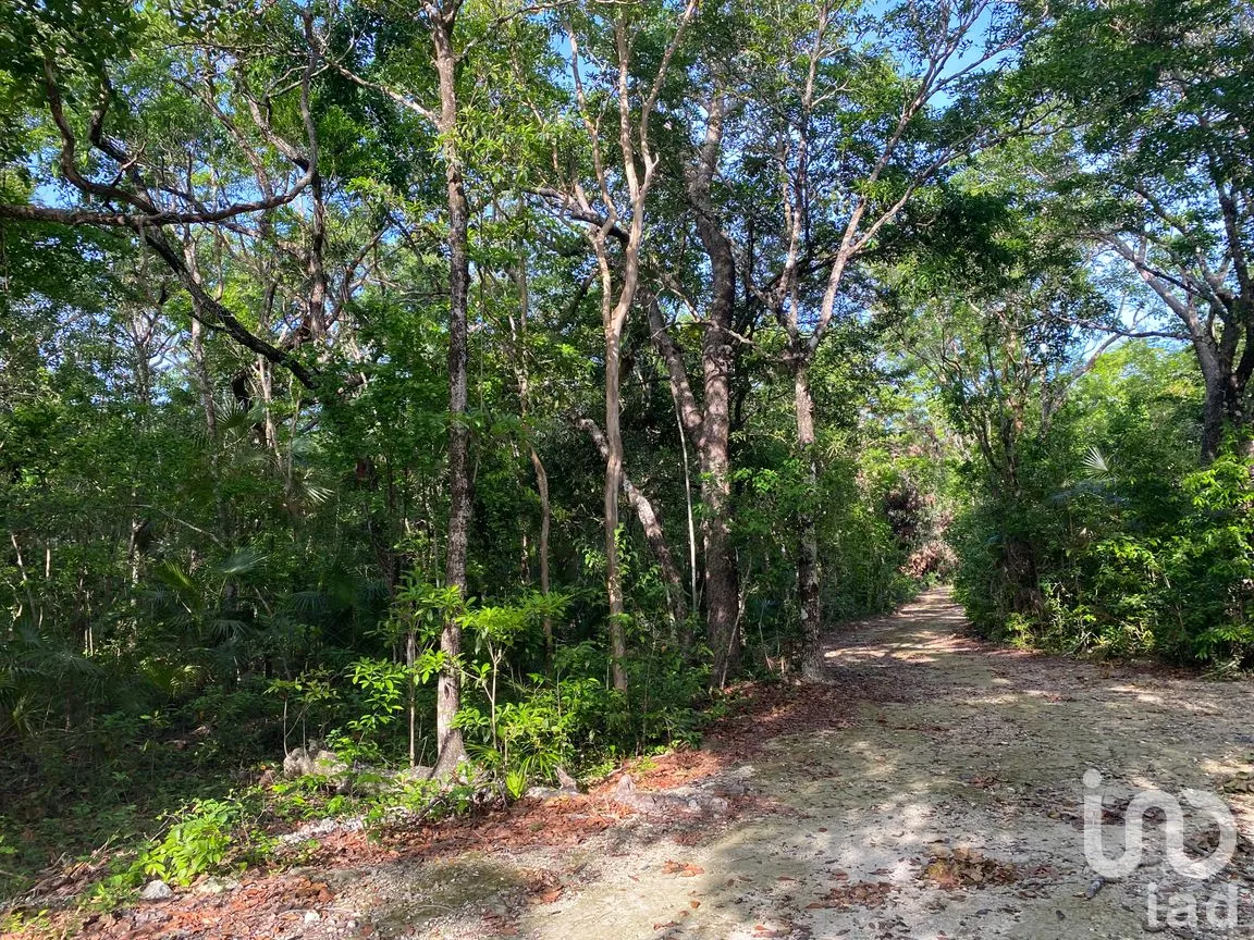 Terreno en Venta en La Veleta, Tulum, Quintana Roo | NEX-285875 | iad México | Foto 4 de 14