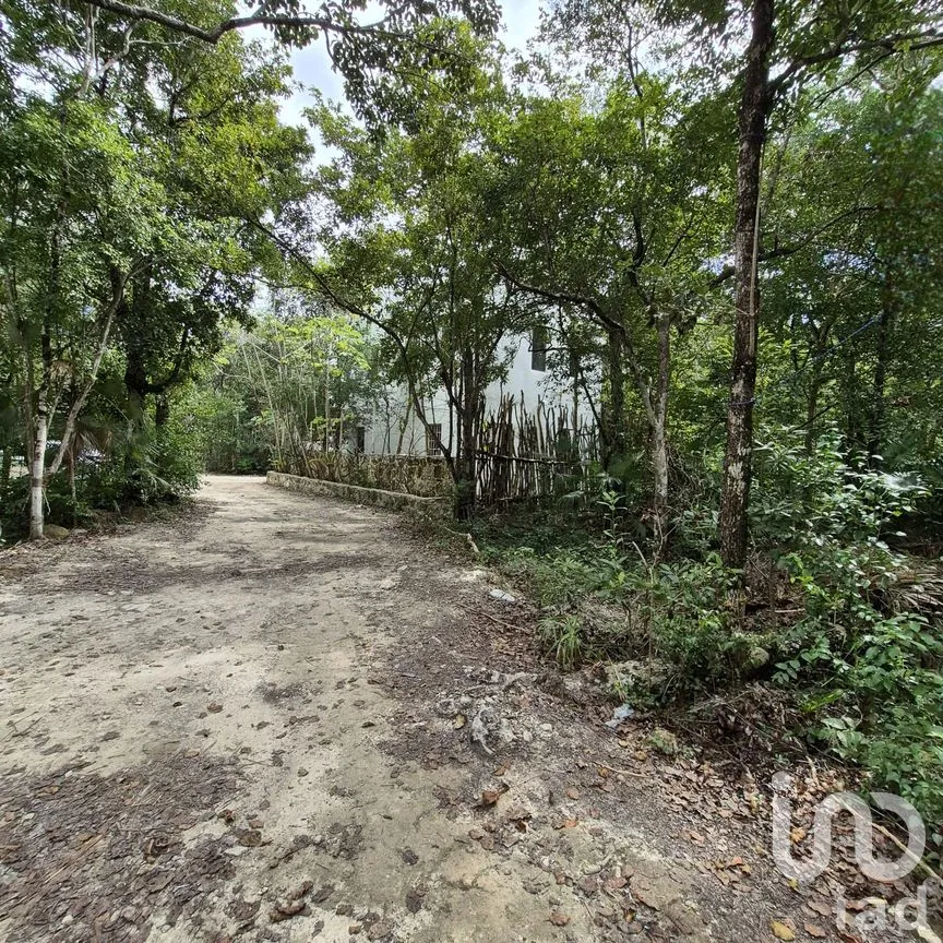 Terreno en Venta en La Veleta, Tulum, Quintana Roo | NEX-285875 | iad México | Foto 10 de 14