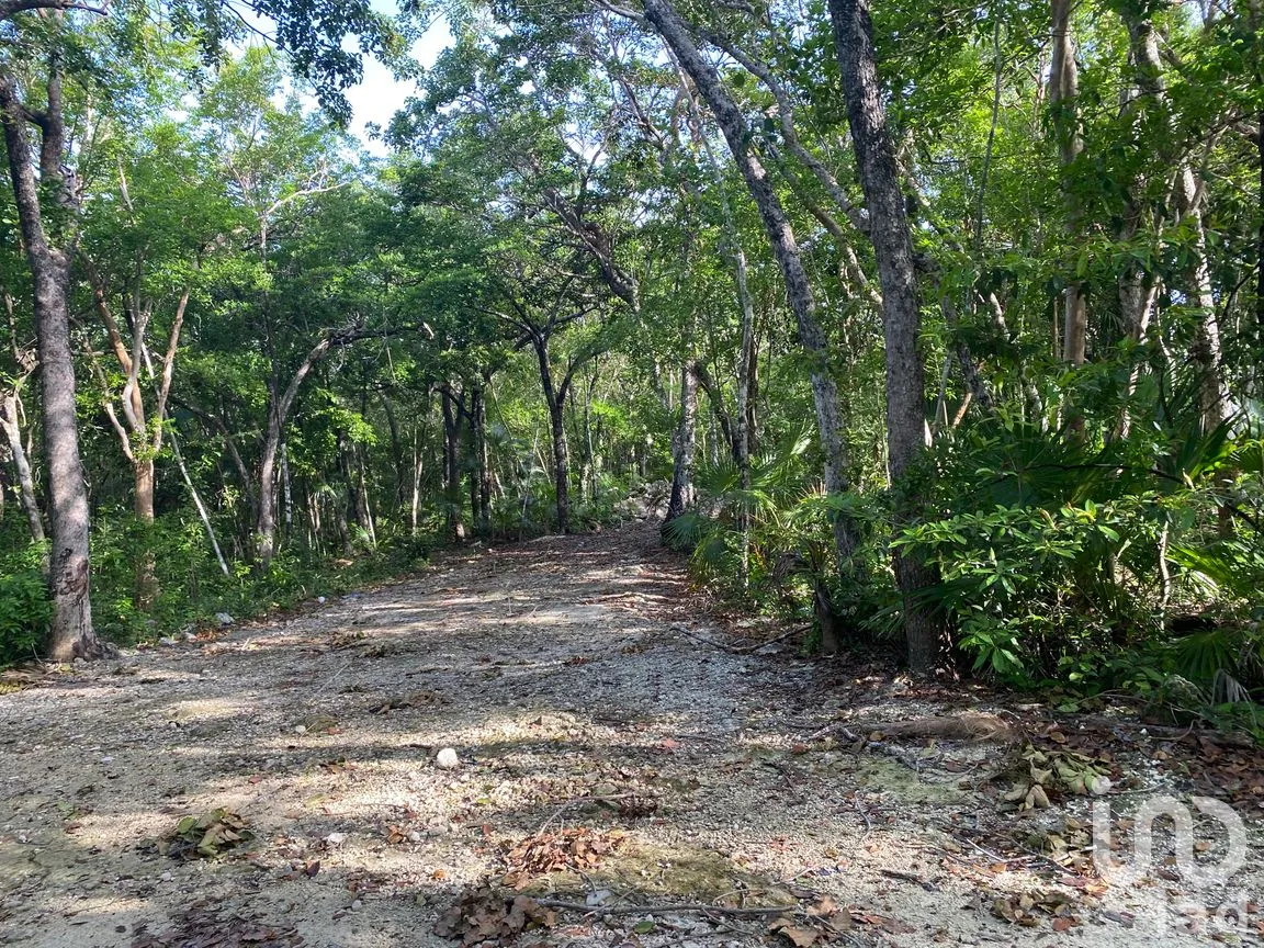 Terreno en Venta en La Veleta, Tulum, Quintana Roo | NEX-285875 | iad México | Foto 1 de 14