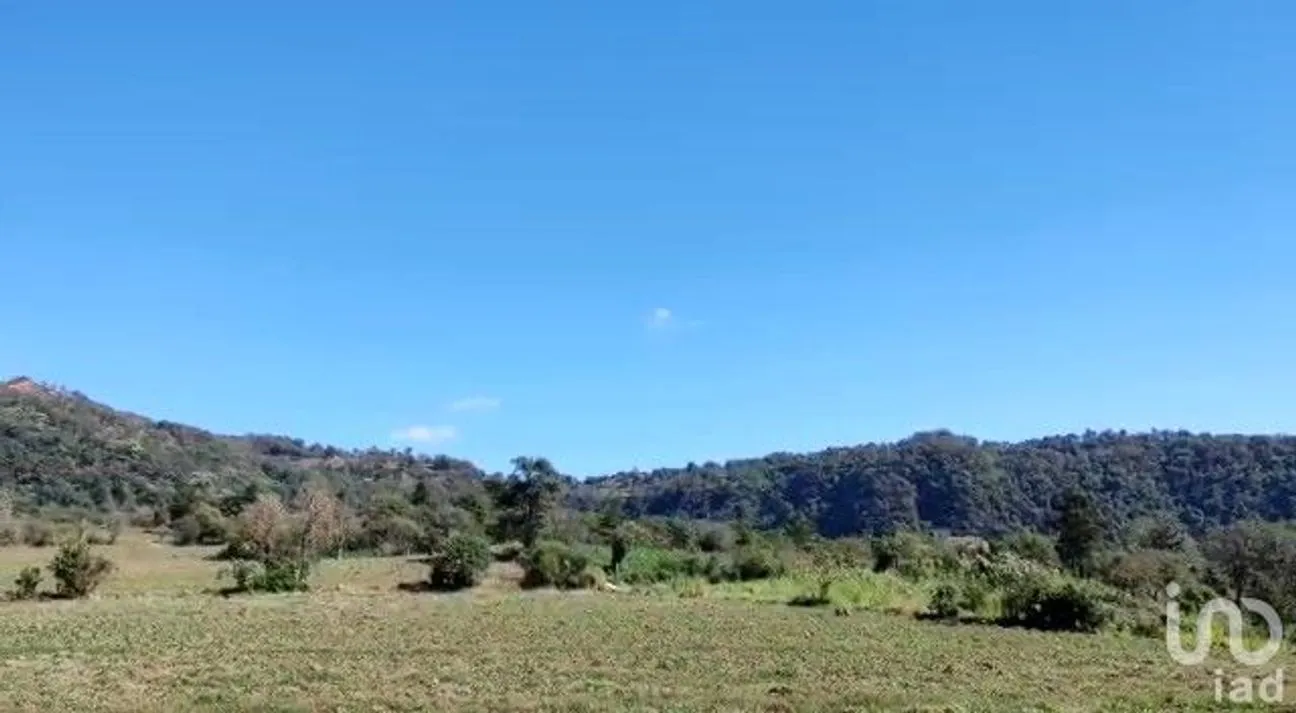 Terreno en Venta en San Pablo Coapan, Naolinco, Veracruz de Ignacio de la Llave | NEX-175935 | iad México | Foto 3 de 5