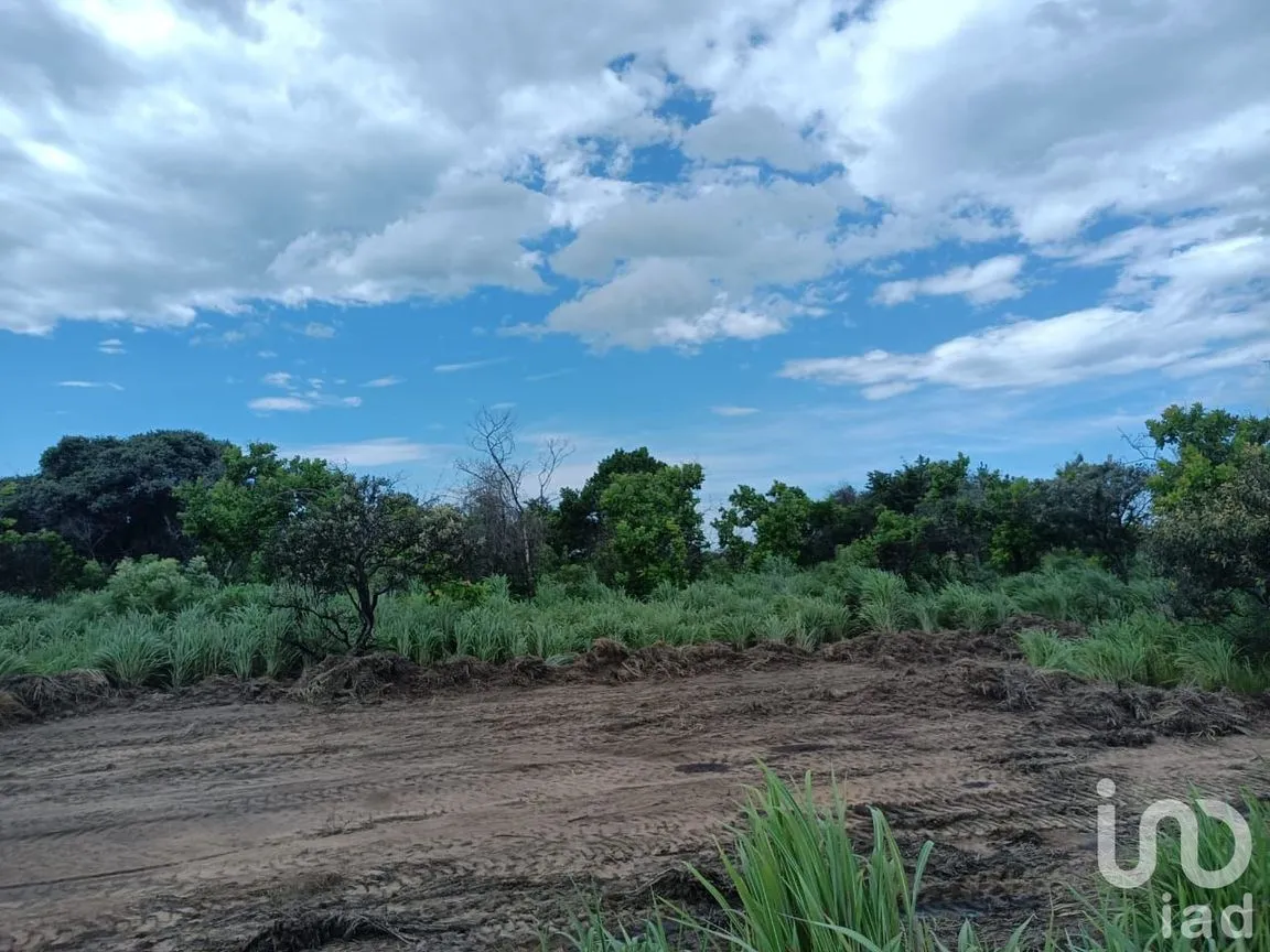 Terreno en Venta en Los Corazones, San Pedro Tapanatepec, Oaxaca | NEX-187921 | iad México | Foto 3 de 9