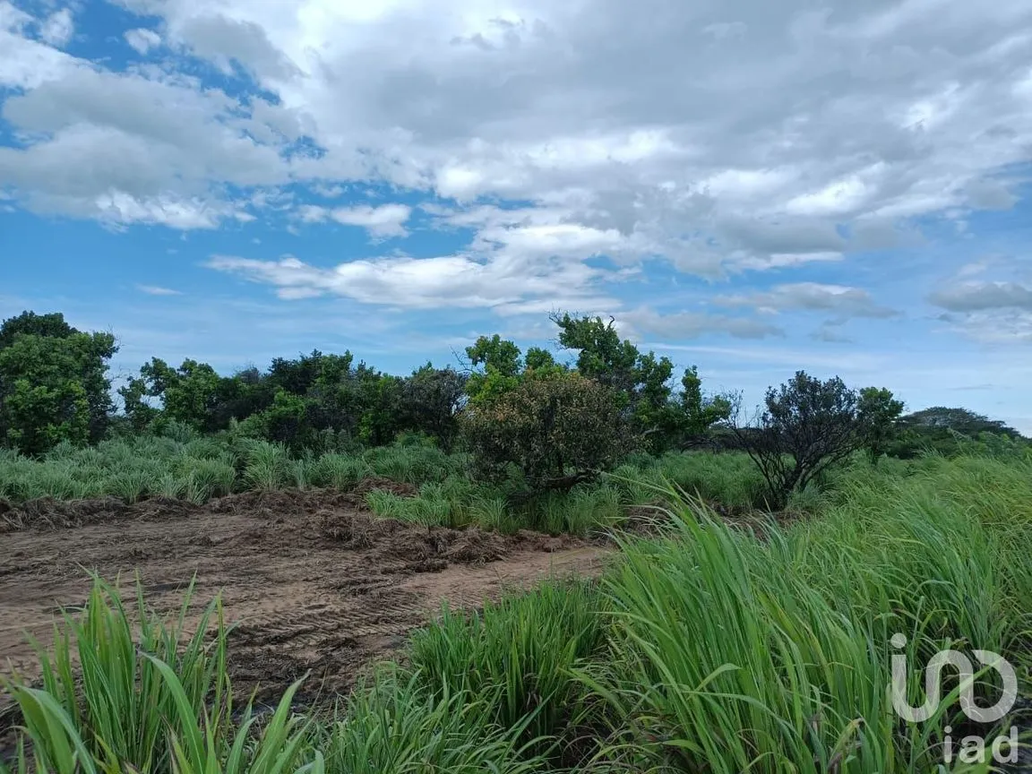 Terreno en Venta en Los Corazones, San Pedro Tapanatepec, Oaxaca | NEX-187921 | iad México | Foto 4 de 9
