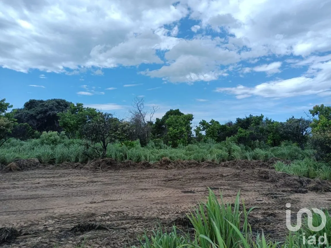 Terreno en Venta en Los Corazones, San Pedro Tapanatepec, Oaxaca | NEX-187921 | iad México | Foto 5 de 9
