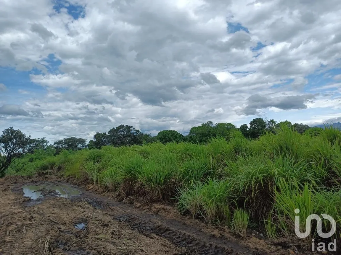 Terreno en Venta en Los Corazones, San Pedro Tapanatepec, Oaxaca | NEX-187921 | iad México | Foto 6 de 9