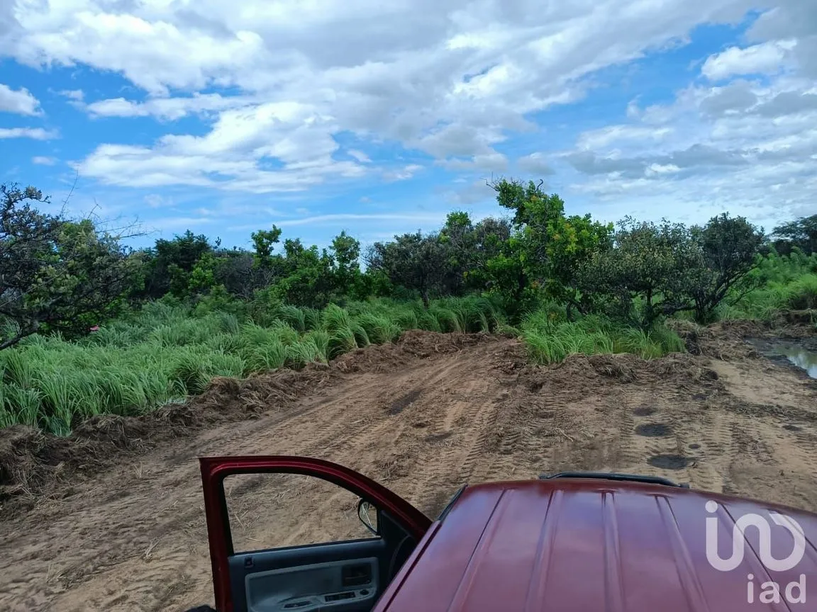 Terreno en Venta en Los Corazones, San Pedro Tapanatepec, Oaxaca | NEX-187921 | iad México | Foto 9 de 9