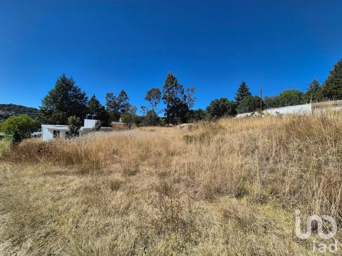 Terreno en Venta en Tercera Sección, Amaxac de Guerrero, Tlaxcala | NEX-238014 | iad México | Foto 2 de 7