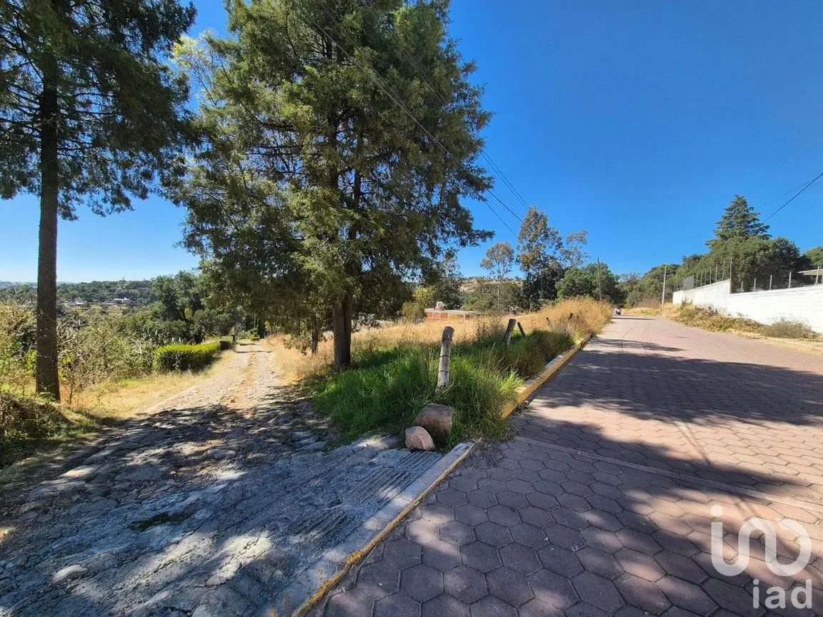 Terreno en Venta en Tercera Sección, Amaxac de Guerrero, Tlaxcala | NEX-238014 | iad México | Foto 4 de 7