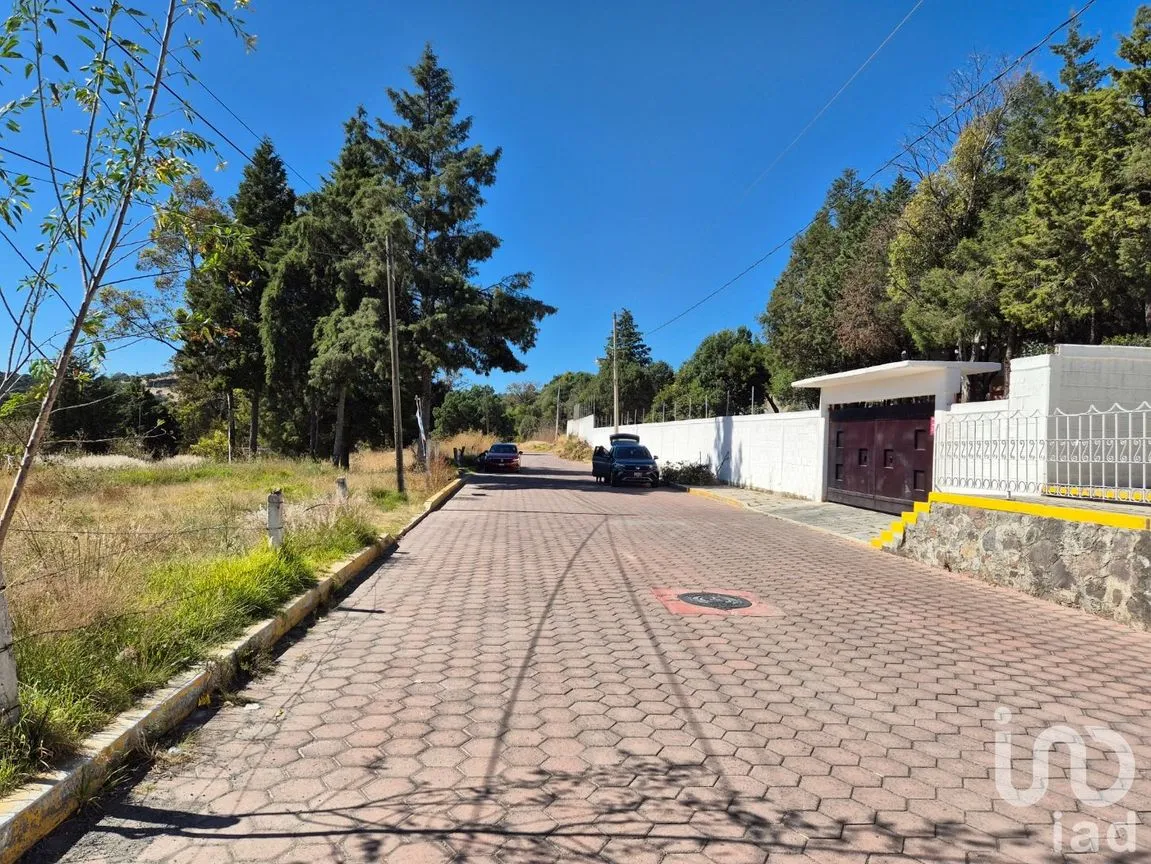 Terreno en Venta en Tercera Sección, Amaxac de Guerrero, Tlaxcala | NEX-238014 | iad México | Foto 7 de 7