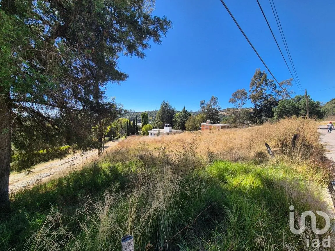Terreno en Venta en Tercera Sección, Amaxac de Guerrero, Tlaxcala | NEX-238014 | iad México | Foto 1 de 7