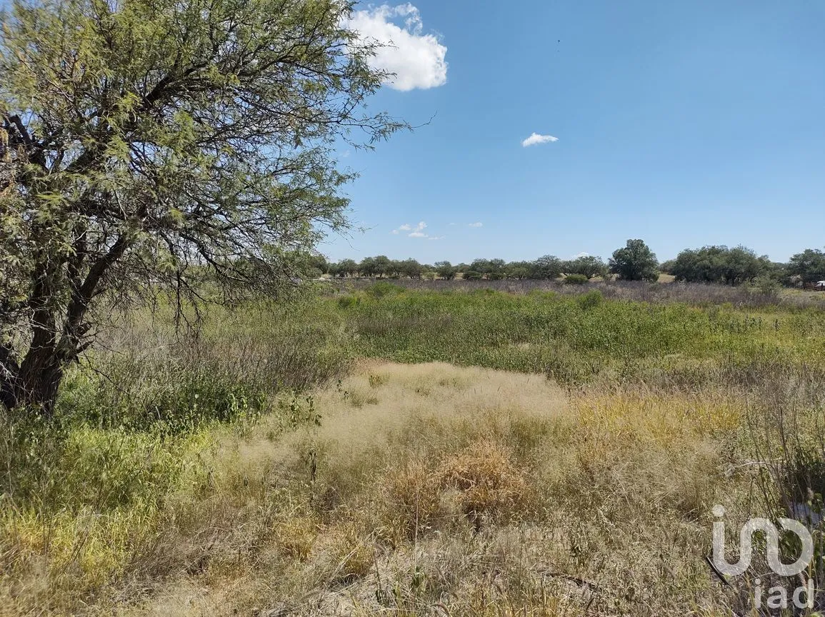 Terreno en Venta en La Granjita (Los Palillos), Jesús María, Aguascalientes | NEX-183610 | iad México | Foto 7 de 11