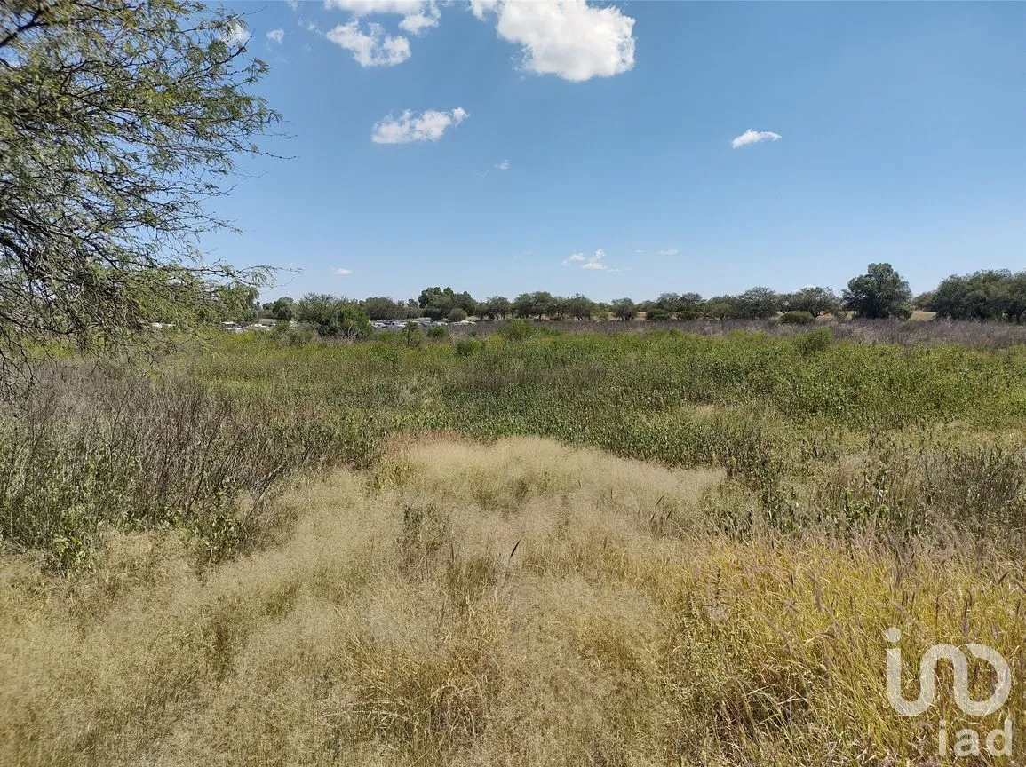 Terreno en Venta en La Granjita (Los Palillos), Jesús María, Aguascalientes | NEX-183610 | iad México | Foto 8 de 11