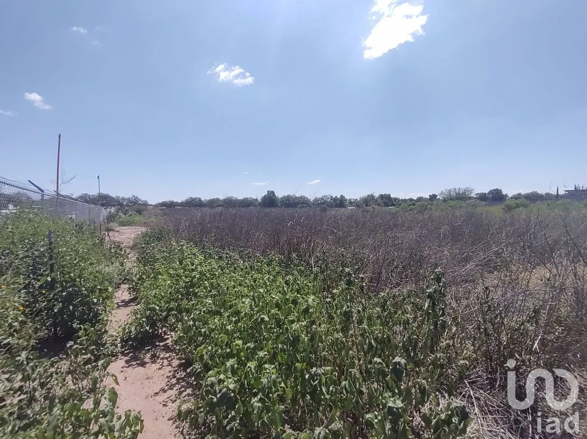 Terreno en Venta en La Granjita (Los Palillos), Jesús María, Aguascalientes | NEX-183610 | iad México | Foto 10 de 11