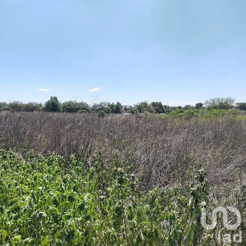 Terreno en Venta en La Granjita (Los Palillos), Jesús María, Aguascalientes | NEX-183629 | iad México | Foto 11 de 13