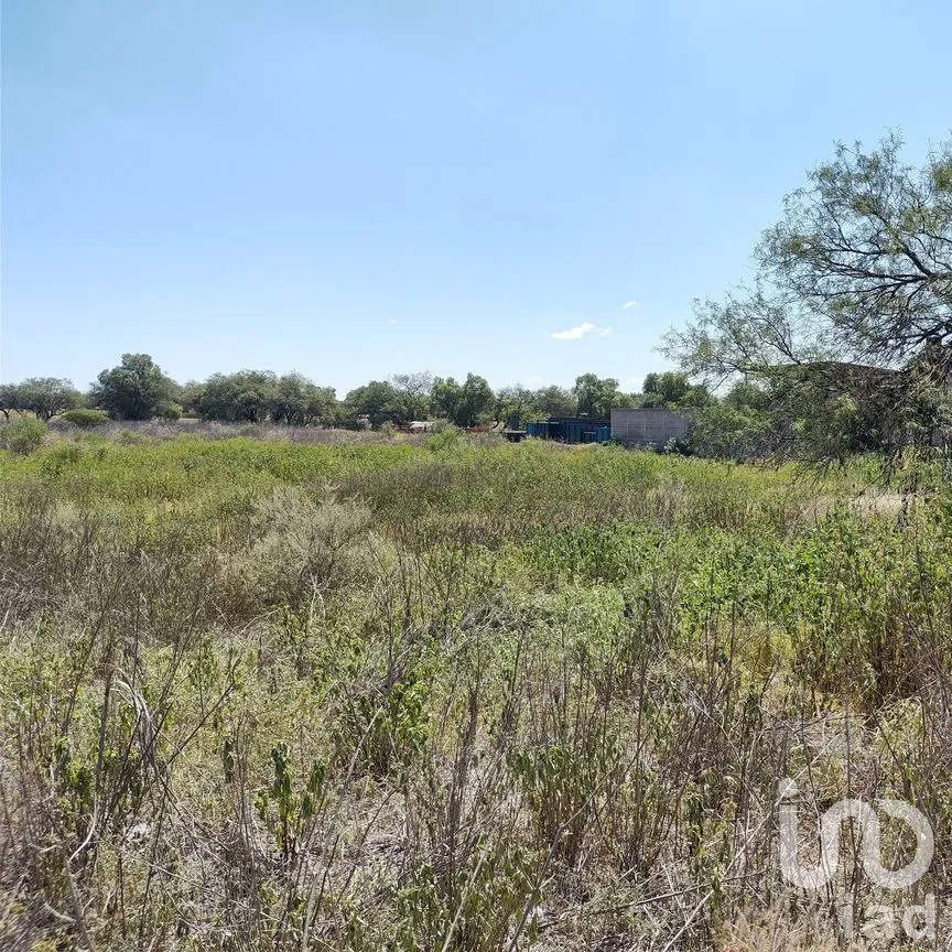 Terreno en Venta en La Granjita (Los Palillos), Jesús María, Aguascalientes | NEX-183629 | iad México | Foto 4 de 13