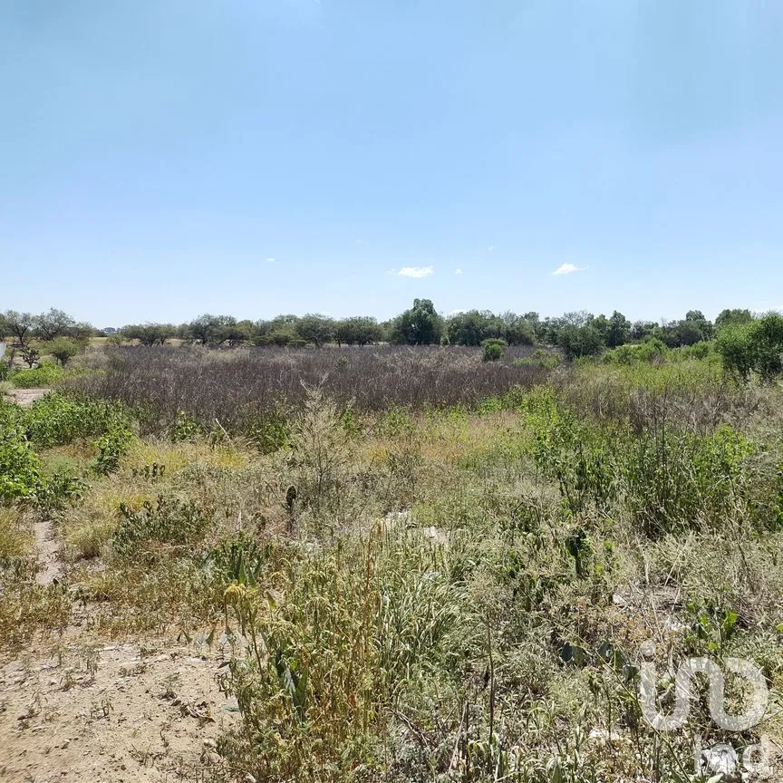 Terreno en Venta en La Granjita (Los Palillos), Jesús María, Aguascalientes | NEX-183629 | iad México | Foto 5 de 13