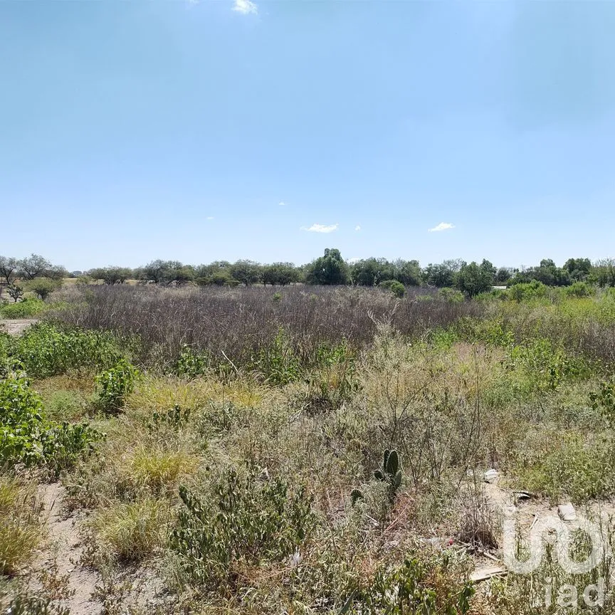Terreno en Venta en La Granjita (Los Palillos), Jesús María, Aguascalientes | NEX-183629 | iad México | Foto 7 de 13
