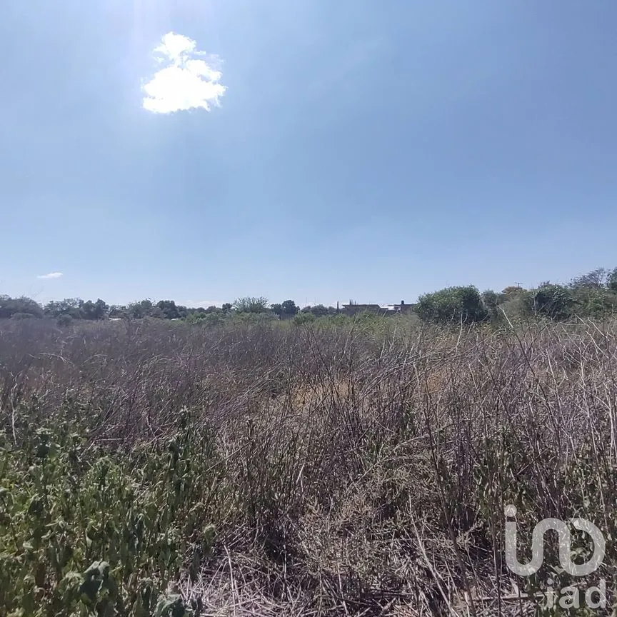 Terreno en Venta en La Granjita (Los Palillos), Jesús María, Aguascalientes | NEX-183629 | iad México | Foto 10 de 13